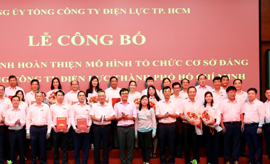 Hoàn thiện mô hình tổ chức cơ sở đảng Cơ quan Tổng công ty Điện lực TP. Hồ Chí Minh